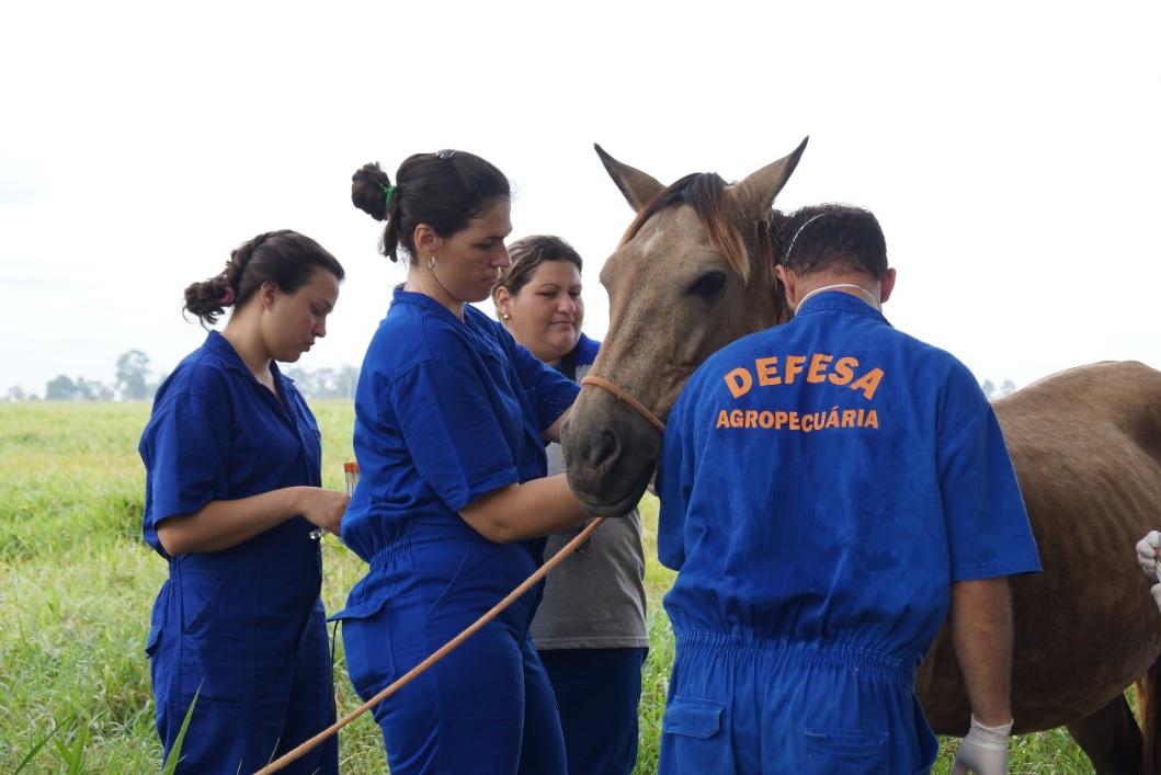 Saúde animal e apoio ao produtor rural